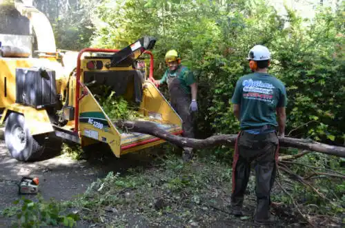 tree services West Crossett